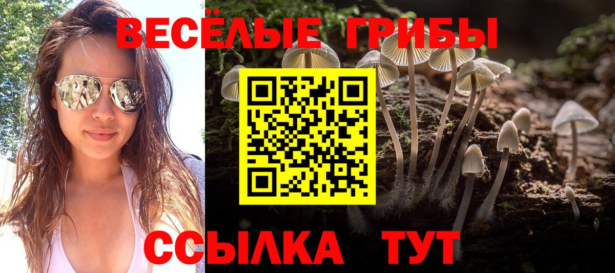 Галлюциногенные грибы ЛСД  Вход с VPN  Екатеринбург  Псилоцибиновые грибы прущие грибы 
