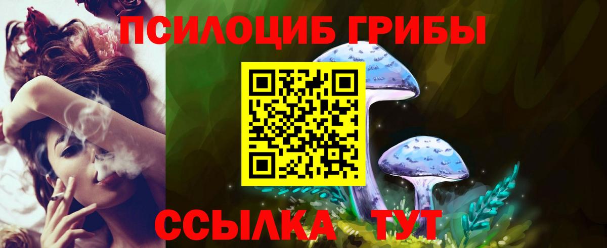 Псилоцибиновые грибы MAGIC MUSHROOMS Екатеринбург